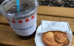 【ねこドーナツ】井の頭公園のカフェ「ブルースカイコーヒー」に可愛すぎるドーナツが存在した！