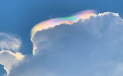 【奇跡の10分】ものすごく美しい彩雲が目撃される
