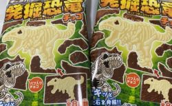 【お菓子】人気の「発掘恐竜チョコ」発掘されたシークレットが衝撃すぎて話題にｗ