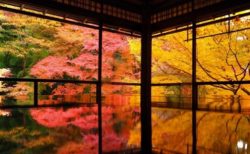 【日本語】心震える程美しい日本の秋言葉5つが話題「知らなかった」