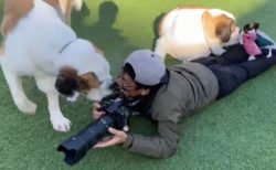 【犬まみれ】犬のプロカメラマンさん、お仕事風景がステキすぎるｗ
