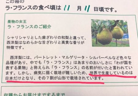 【ｗ】栽培が難しいラフランス、作ってるのは日本だけ。ラフランスって呼んでるのも日本だけ