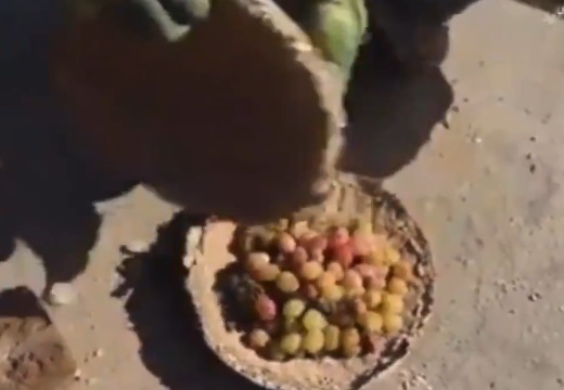 【凄い】泥の容器で空気等を遮断し生の果物を半年保存。アフガニスタン生活の知恵が話題に