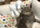 【動画】飼い主が倒れた(フリをした)時の猫の反応が話題に「最後ｗ」