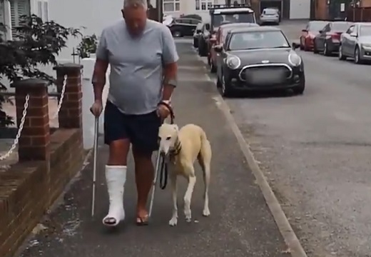 【ｗ】骨折した男性、飼い犬が足を引きずっている事に気づき病院に連れて行くと‥