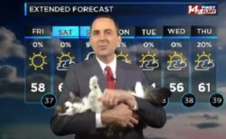 【ｗ】ペットを抱っこしながら放送する天気予報が話題に「すっごく和む！」