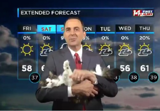 【ｗ】ペットを抱っこしながら放送する天気予報が話題に「すっごく和む！」