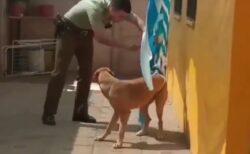 【動画】異常に気づき塀を乗り越え助けにきてくれたおまわりさん、犬が全身でお礼を伝える
