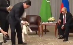 【愛犬家】首根っこを掴まれる子犬を見たプーチン大統領の行動が話題に