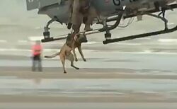 【動画】浮遊するヘリコプターから飛び降りて標的に向かう警察犬、すごすぎ！！