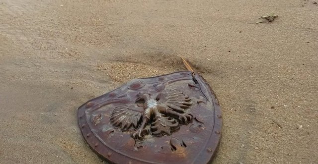 近所の海岸を散策していたら、勇者の盾っぽいのが漂着していた…
