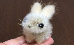 【癒し】タンポポの綿毛で作ったウサギが可愛すぎる！「まるで生きているみたい」