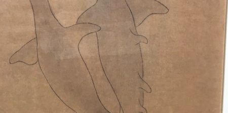江戸時代中期にかかれた『シュモクザメの絵』が可愛い！
