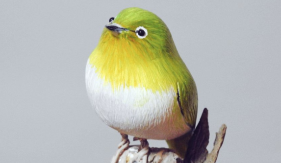 【話題】父が木で作った野鳥、凄すぎる!出来栄えに感動!