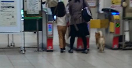 駅に侵入するも駅員さんに捕まってしまったわんこの表情が話題