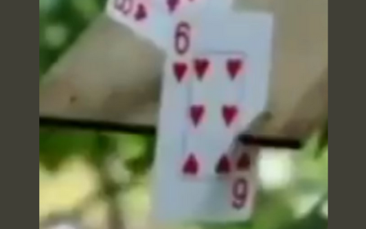 【神業】トランプを極めた少年の動画が話題『カードも武器になる…』『これもうヒソカじゃん』