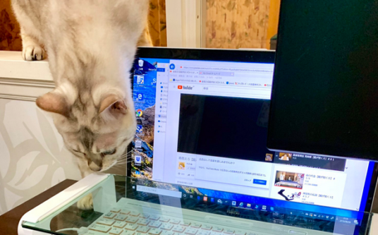 猫にキーボードを踏まれないための工夫をしたら・・・こうなった！