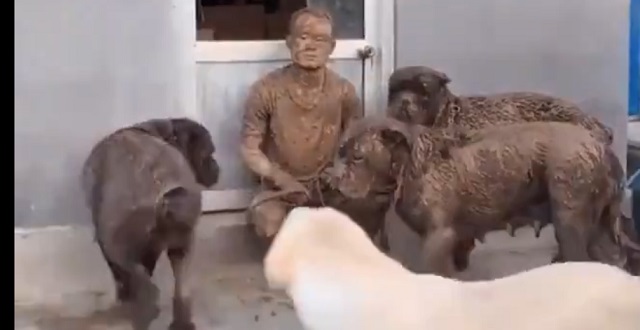 【動画】銅像?!みたいになって散歩から帰宅した犬達と男性が話題「何があった!?」