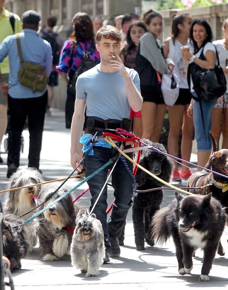 ハリー ポッター のダニエル ラドクリフによる犬の散歩をご覧ください Break Time