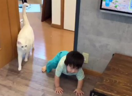 【動画】息子が転んだらすぐかけ寄る猫、なんて優しいんだ