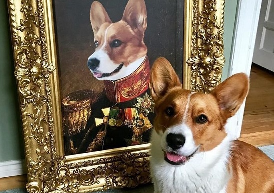 【斬新】ペットの写真を送るとロイヤルっぽい絵画にしてもらえる!こんなの初めて見た!