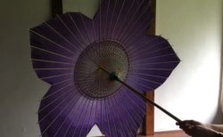 【美しい】日光で色が変化する和傘にネット民感激！
