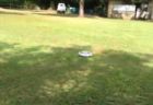 【GoPro】飼い主から盗んだ「カメラ」を咥えて走る犬が可愛い。なかなかレアな目線！