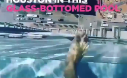 台風 浸水した線路に 突撃 する電車が話題に さすがにこれはアウト Break Time