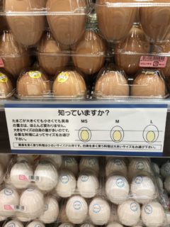 【驚愕】たまごのサイズで ”卵黄” の大きさは変わらないって知ってましたか！？