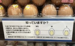 【驚愕】たまごのサイズで ”卵黄” の大きさは変わらないって知ってましたか！？