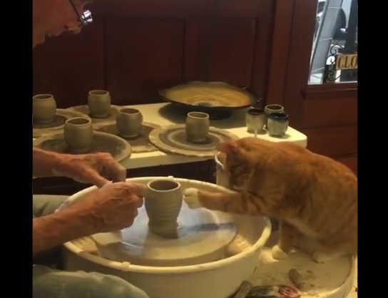 【陶芸】「猫の手を借りる」とはまさにこのことか。完成品が気になるぞ!