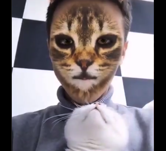 【びっくり】猫の顔に変身する「フィルター」に反応する猫が可愛すぎる!