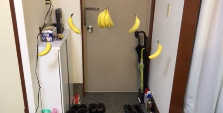 【再現】バナナを玄関に ”吊るしてみたら” ドンキーコングのステージになった！