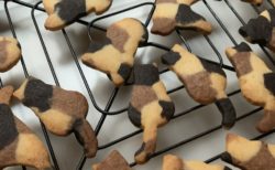 【お菓子】手作り「三毛猫ちゃんクッキー」が美味しそう。天才かな？