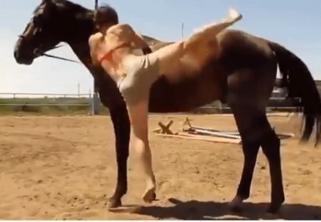 【やさしい】蹴られても蹴られても怒らず、かがんで人を乗せてあげる馬。気遣いがすごい！