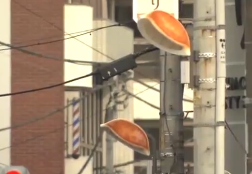 【ほのぼの】宇都宮市に設置された「ギョーザ型の街灯」が話題
