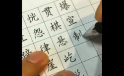 【達筆】ボールペンで漢字を書く「達人」の動画が凄すぎる！