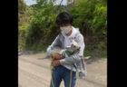 【動画】トテトテ歩くトラの赤ちゃんが完全に猫と話題