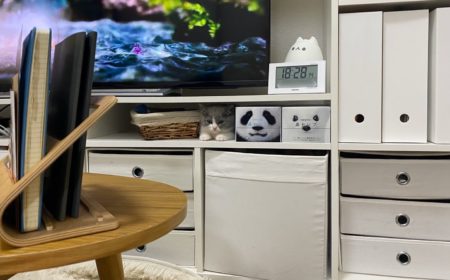 棚に置いてある「鼻セレブ」に擬態する猫。完成度が高い！