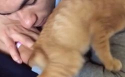 【動画】居眠りしてる主さんの腕にもぐりこんで甘える子猫。うるうるの目がたまらない可愛いさ