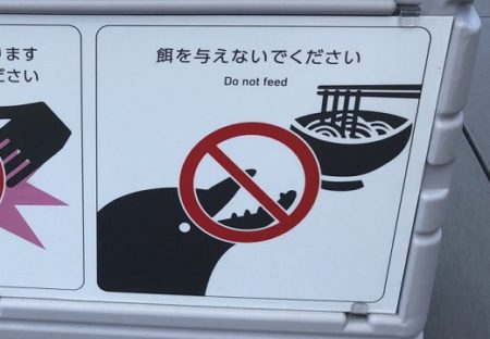 【うどんｗ】四国水族館の「餌を与えないでください」がどこかおかしいｗ