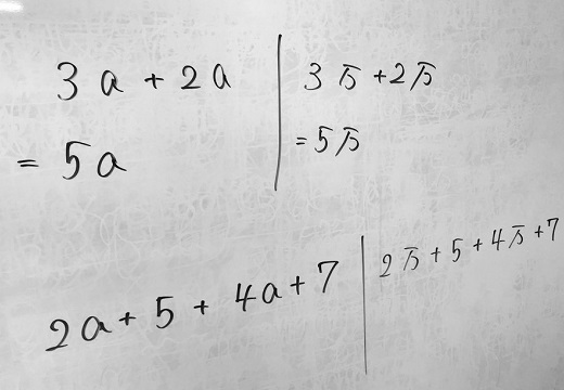 【天才】文字式の加減法「a」を「万」にすると急に理解しやすくなることが判明!