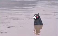 【動画】中国、氾濫した川を漂うくまもん(もどき)が話題