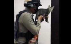 【ねこｗ】武器を構えたタイの警察官！よそ見してる手元の子が話題に