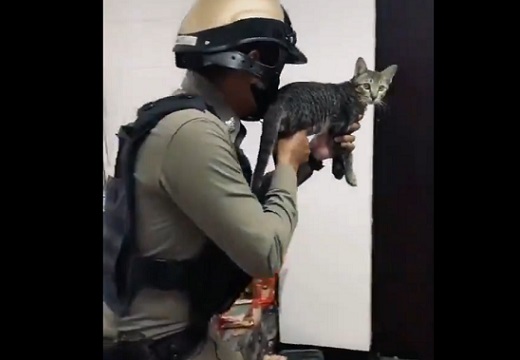 【ねこw】武器を構えたタイの警察官!よそ見してる手元の子が話題に