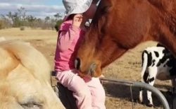 【天使】女の子が馬達を寝かしつけする動画が話題「幸せそう・・」