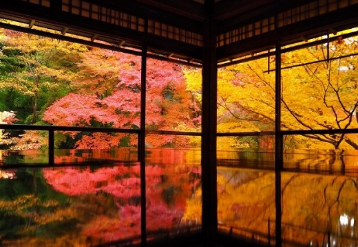 【日本語】心震える程美しい日本の秋言葉5つが話題「知らなかった」