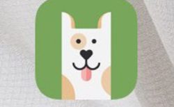 【カワイイ】薬を飲み忘れると犬が電話をかけてくれる、便利アプリが話題