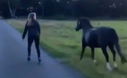 【壮大】金髪少女と並走する黒い馬、ステキすぎる動画が話題に