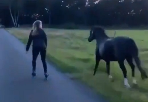 【壮大】金髪少女と並走する黒い馬、ステキすぎる動画が話題に